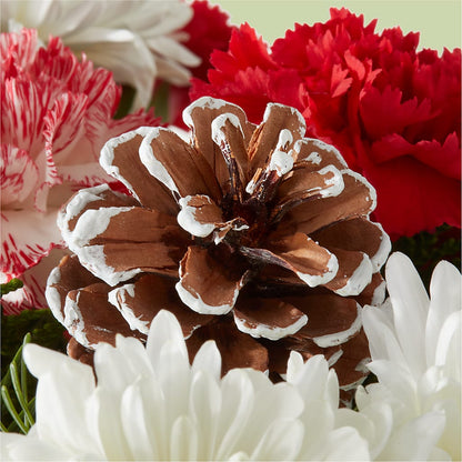 Candy Cane Lane Bouquet – ANTOSZYK'S GARDEN CENTER & FLORIST SHOP, Butler PA