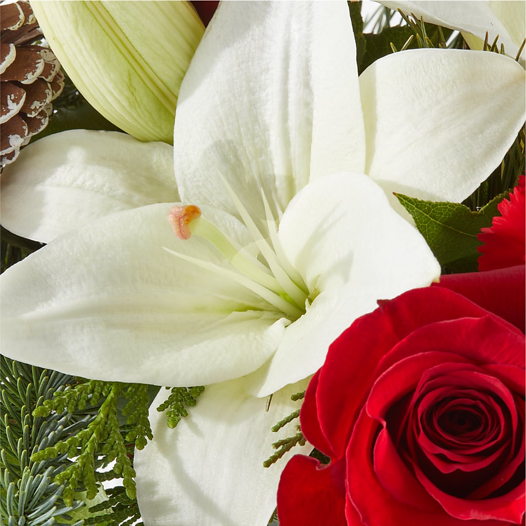 Oh So Jolly Bouquet – ANTOSZYK'S GARDEN CENTER & FLORIST SHOP, Butler PA