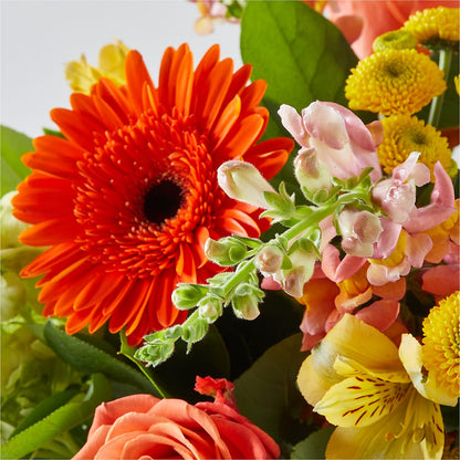 Autumn Sunshine Bouquet – ANTOSZYK'S GARDEN CENTER & FLORIST SHOP, Butler PA