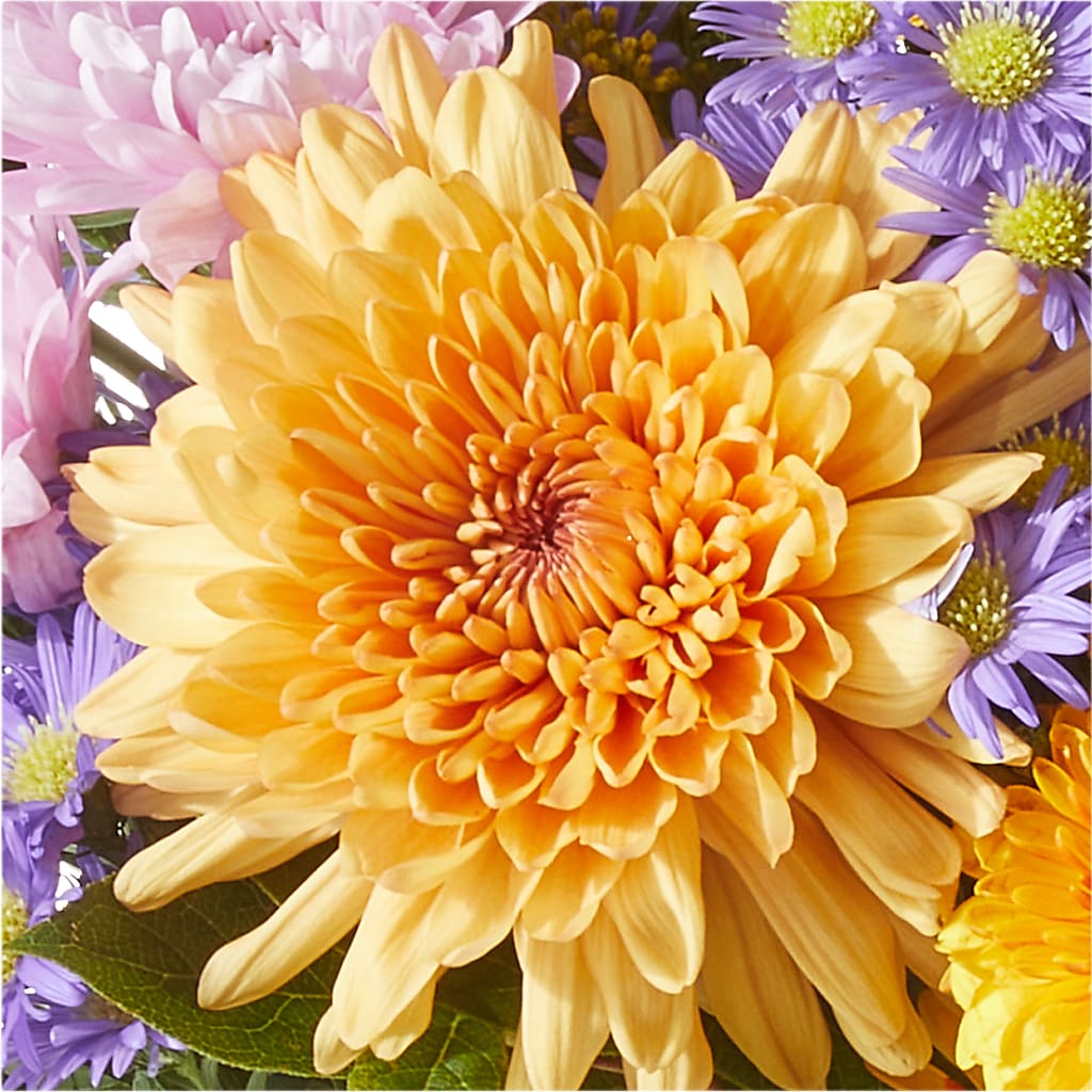 Countryside Bouquet – ANTOSZYK'S GARDEN CENTER & FLORIST SHOP, Butler PA