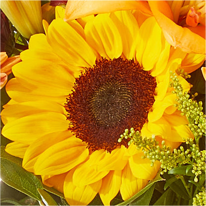 Seasons Change Bouquet – ANTOSZYK'S GARDEN CENTER & FLORIST SHOP, Butler PA
