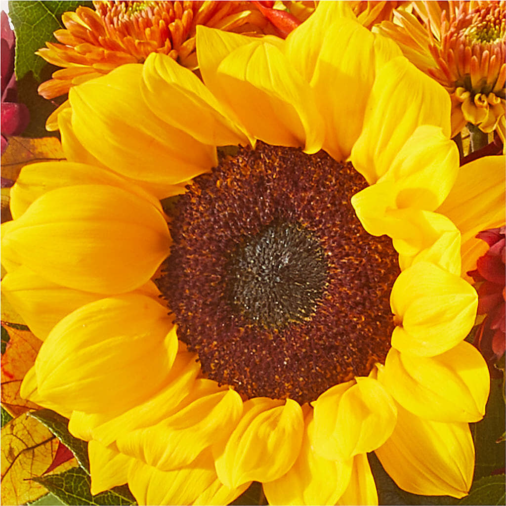 Sunny Side Bouquet – ANTOSZYK'S GARDEN CENTER & FLORIST SHOP, Butler PA