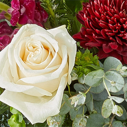 Cranberry Fizz Bouquet – ANTOSZYK'S GARDEN CENTER & FLORIST SHOP, Butler PA