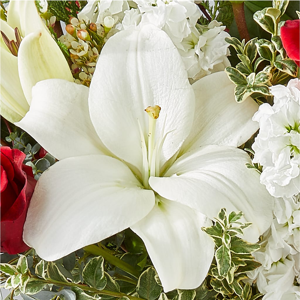 Twinkle Lights Bouquet – ANTOSZYK'S GARDEN CENTER & FLORIST SHOP, Butler PA