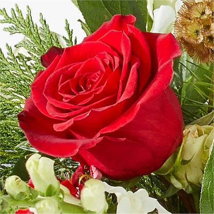 Deck the Halls Bouquet – ANTOSZYK'S GARDEN CENTER & FLORIST SHOP, Butler PA