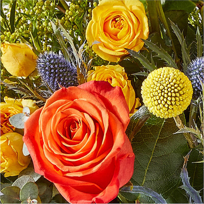 Disco Bouquet – ANTOSZYK'S GARDEN CENTER & FLORIST SHOP, Butler PA