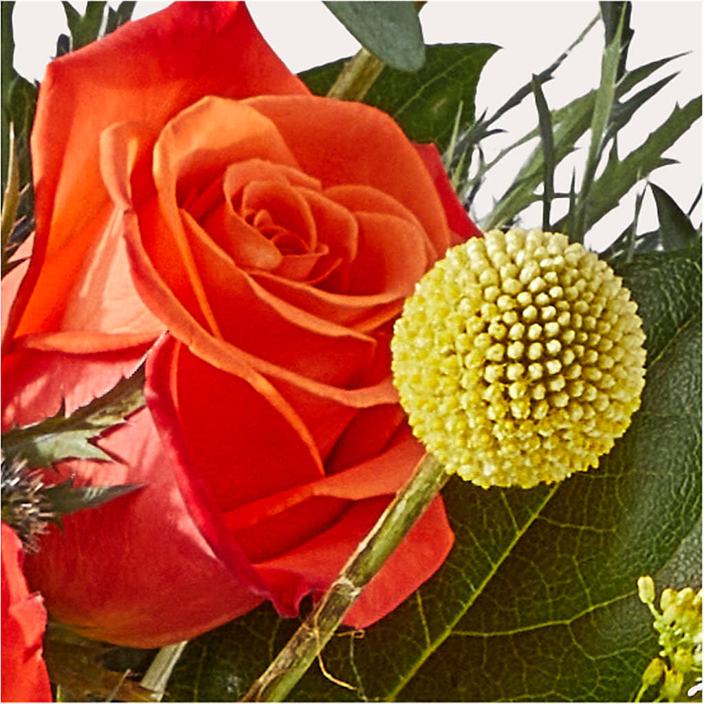 Disco Bouquet – ANTOSZYK'S GARDEN CENTER & FLORIST SHOP, Butler PA