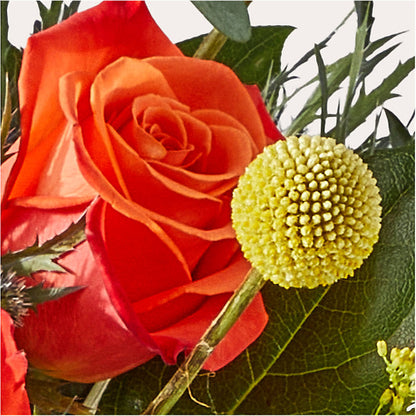 Disco Bouquet – ANTOSZYK'S GARDEN CENTER & FLORIST SHOP, Butler PA