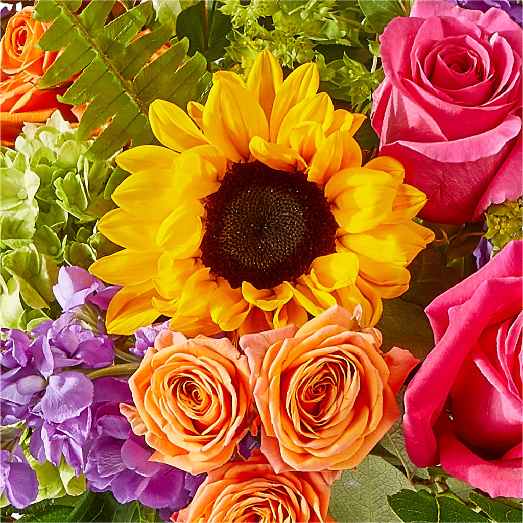 Vibrant Greetings Bouquet – ANTOSZYK'S GARDEN CENTER & FLORIST SHOP, Butler PA