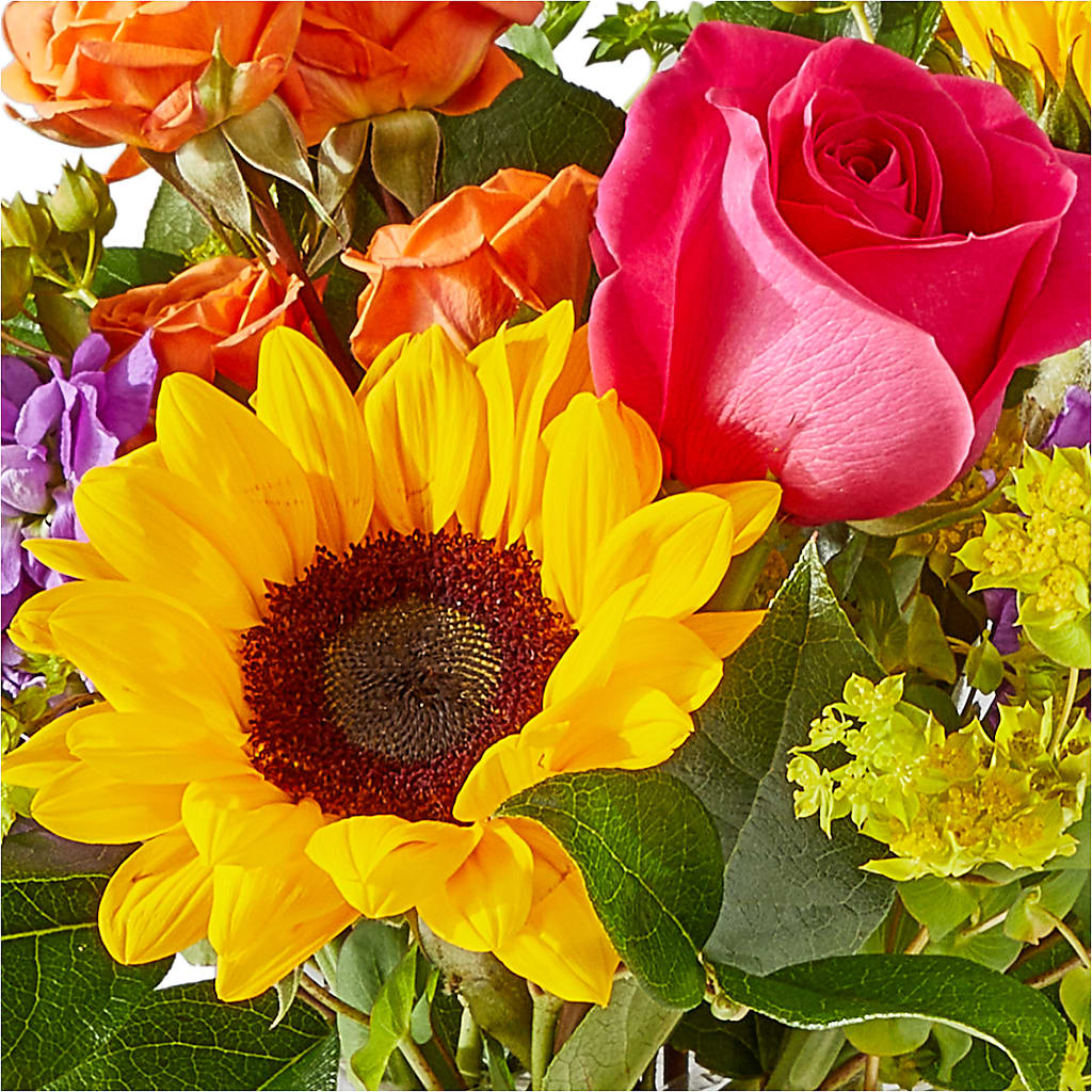 Vibrant Greetings Bouquet – ANTOSZYK'S GARDEN CENTER & FLORIST SHOP, Butler PA