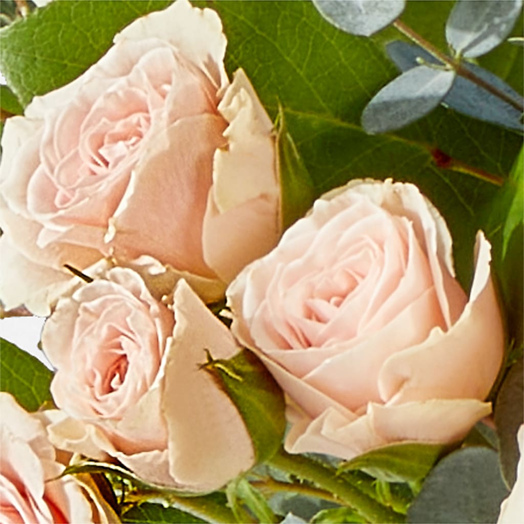 Inspired Bouquet – ANTOSZYK'S GARDEN CENTER & FLORIST SHOP, Butler PA