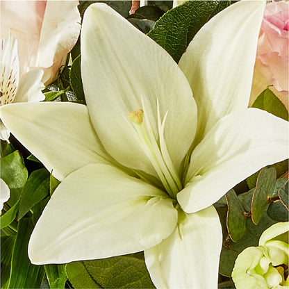 Ballet Slippers Bouquet – ANTOSZYK'S GARDEN CENTER & FLORIST SHOP, Butler PA