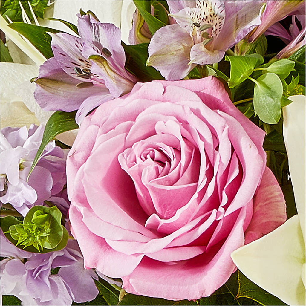 Daydreamer Bouquet – ANTOSZYK'S GARDEN CENTER & FLORIST SHOP, Butler PA