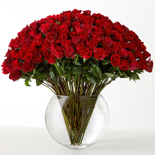 The Idealist – ANTOSZYK'S GARDEN CENTER & FLORIST SHOP, Butler PA
