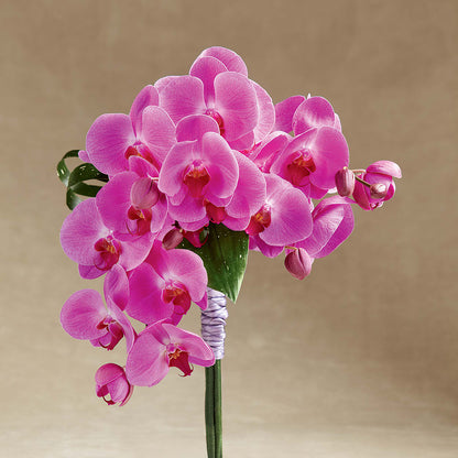 Glorious Bouquet – ANTOSZYK'S GARDEN CENTER & FLORIST SHOP, Butler PA