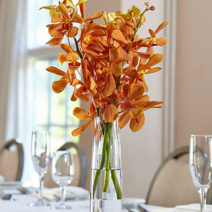 Orange Mokara Bud Vase – ANTOSZYK'S GARDEN CENTER & FLORIST SHOP, Butler PA