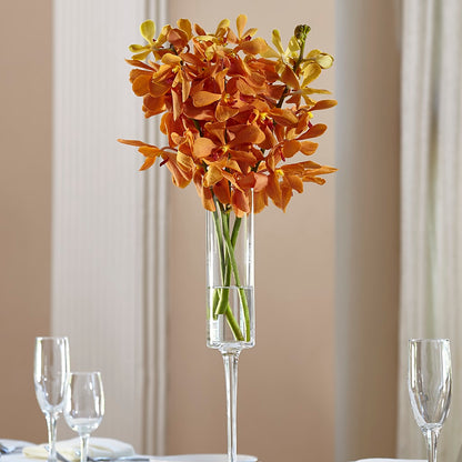 Orange Mokara Bouquet – ANTOSZYK'S GARDEN CENTER & FLORIST SHOP, Butler PA