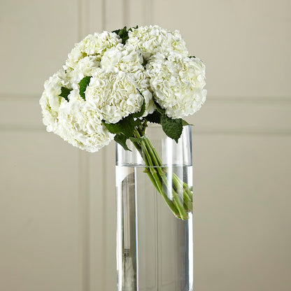 White Hydrangea Hand-Tied Bouquet – ANTOSZYK'S GARDEN CENTER & FLORIST SHOP, Butler PA