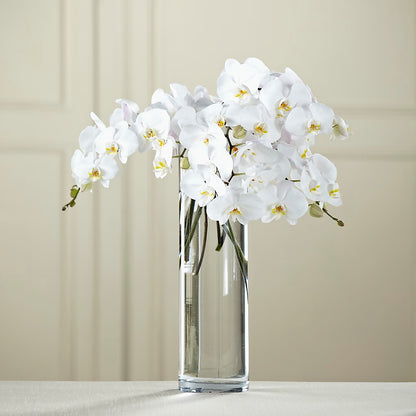 White Phalaenopsis Bouquet – ANTOSZYK'S GARDEN CENTER & FLORIST SHOP, Butler PA