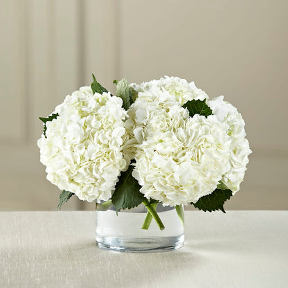 White Hydrangea Bouquet – ANTOSZYK'S GARDEN CENTER & FLORIST SHOP, Butler PA